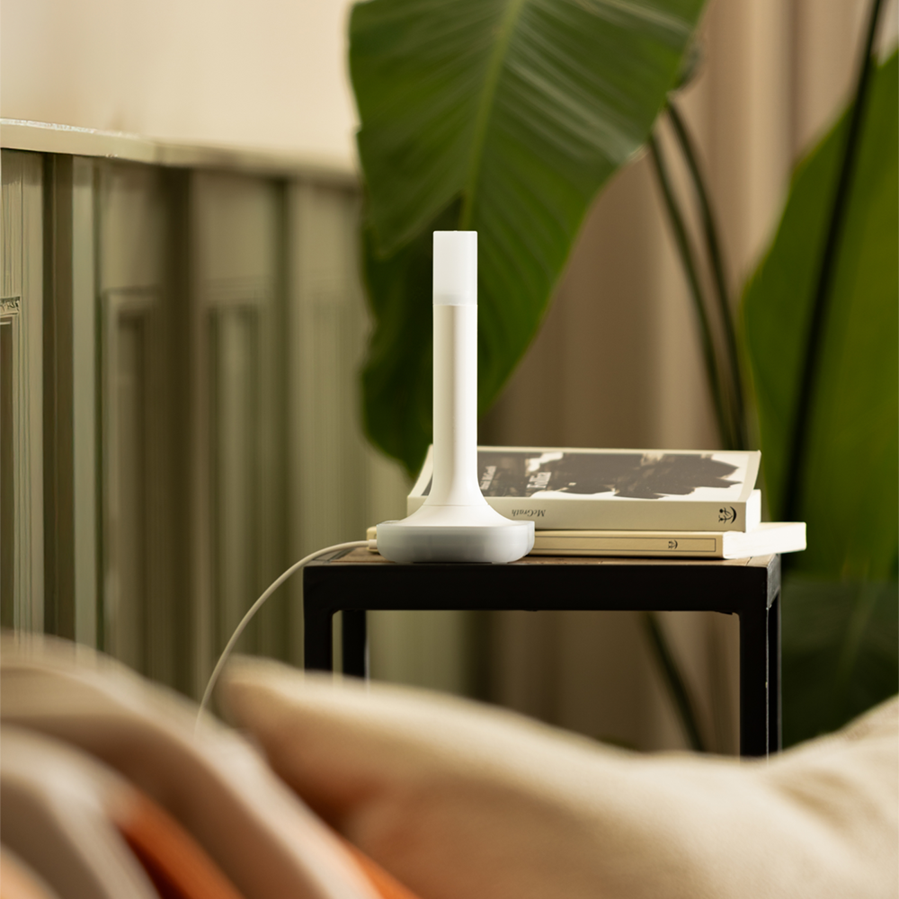 Home Assistant Connect ZBT-2