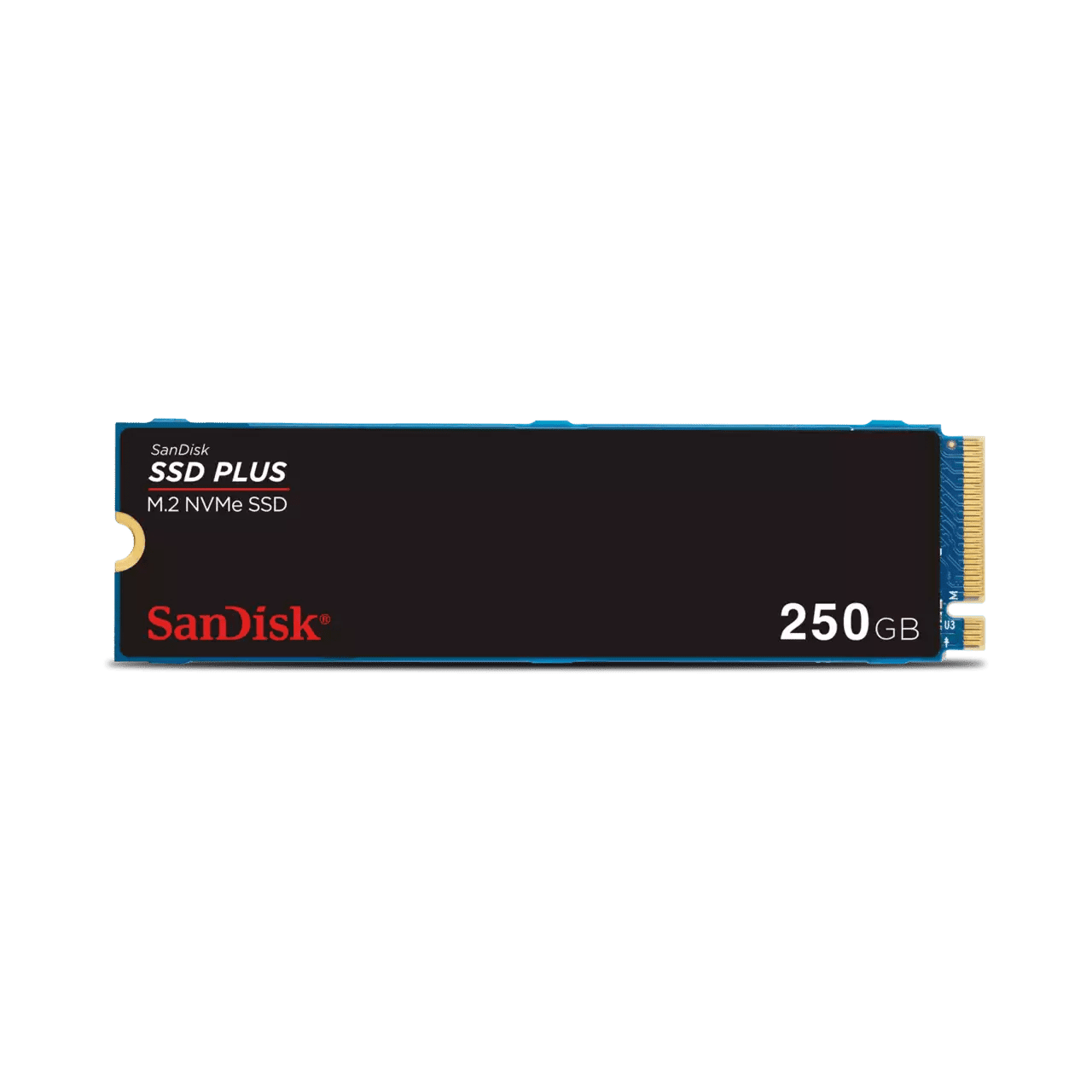 SanDisk SSD Plus M.2 NVMe SSD